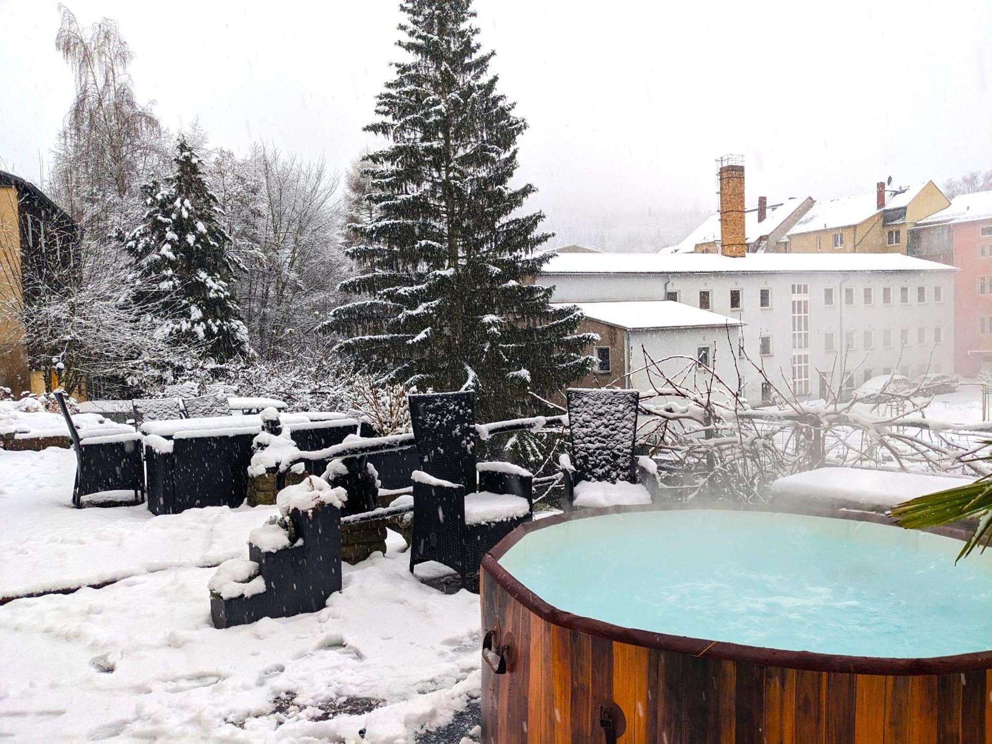 F1 - Urlaubsmagie - Helle Wohnung Mit Sauna & Pool & Whirlpool Sebnitz Zewnętrze zdjęcie