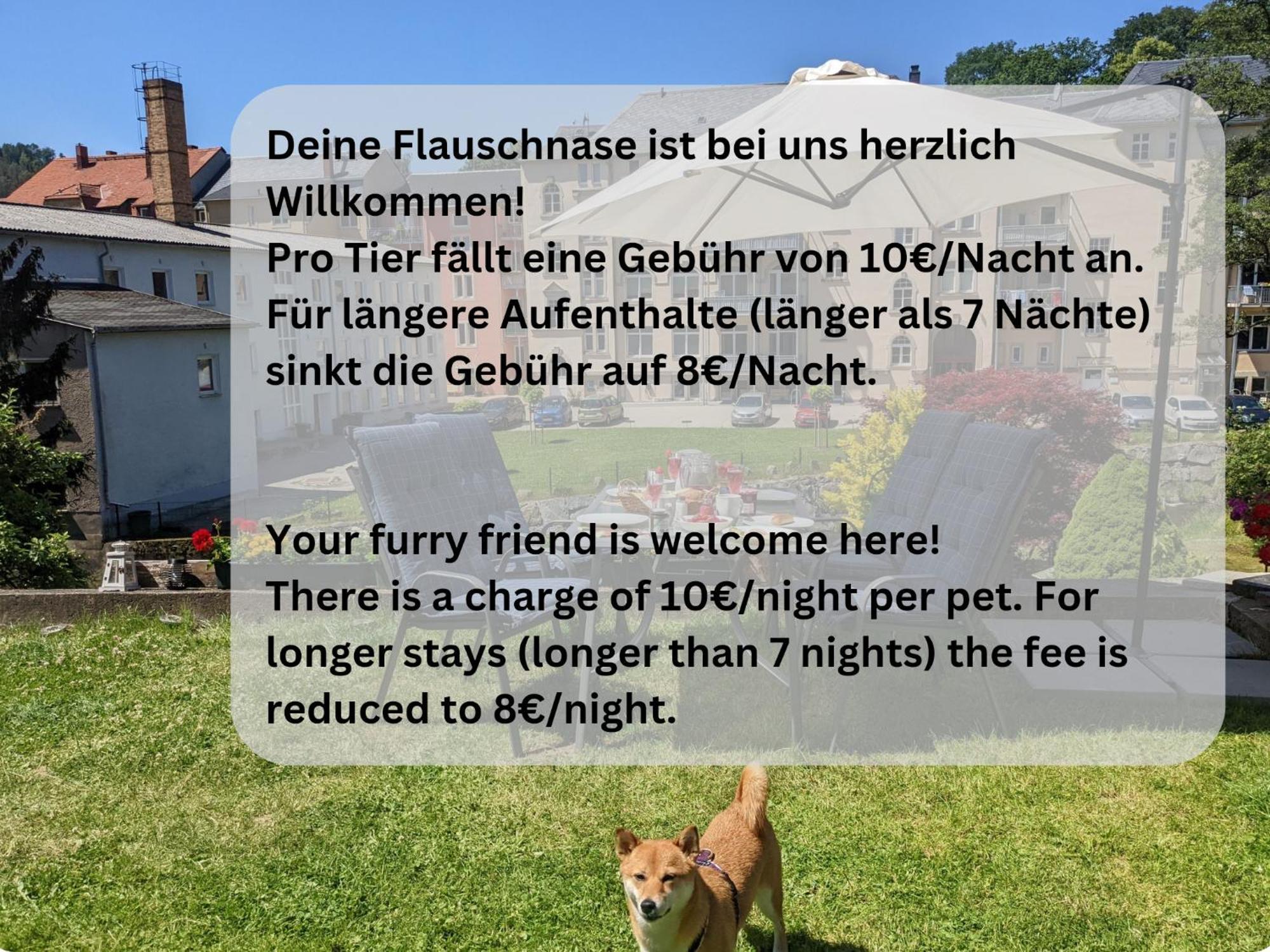 F1 - Urlaubsmagie - Helle Wohnung Mit Sauna & Pool & Whirlpool Sebnitz Zewnętrze zdjęcie